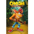 Crash Bandicoot - plagát Crash