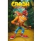Crash Bandicoot - plagát Crash