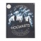 Harry Potter - Adventný Kalendár darčekov