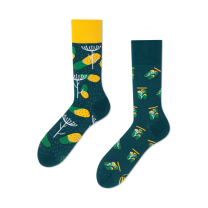 Veselé ponožky - Zavárané uhorky L