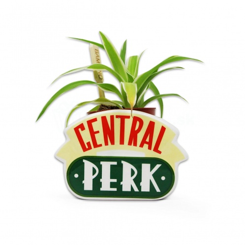 Priatelia - stojan Central Perk