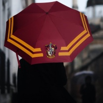 Harry Potter - Chrabromilský dáždnik