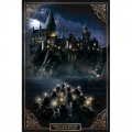 Harry Potter - plagát Rokfortská škola čarodejnícka