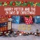 Harry Potter - Adventný Kalendár Kocka