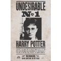 Harry Potter - plagát Undesirable No. 1