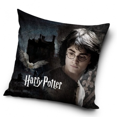 Harry Potter - vankúš Harry 40x40