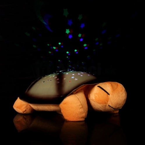 Magická svietiaca korytnačka